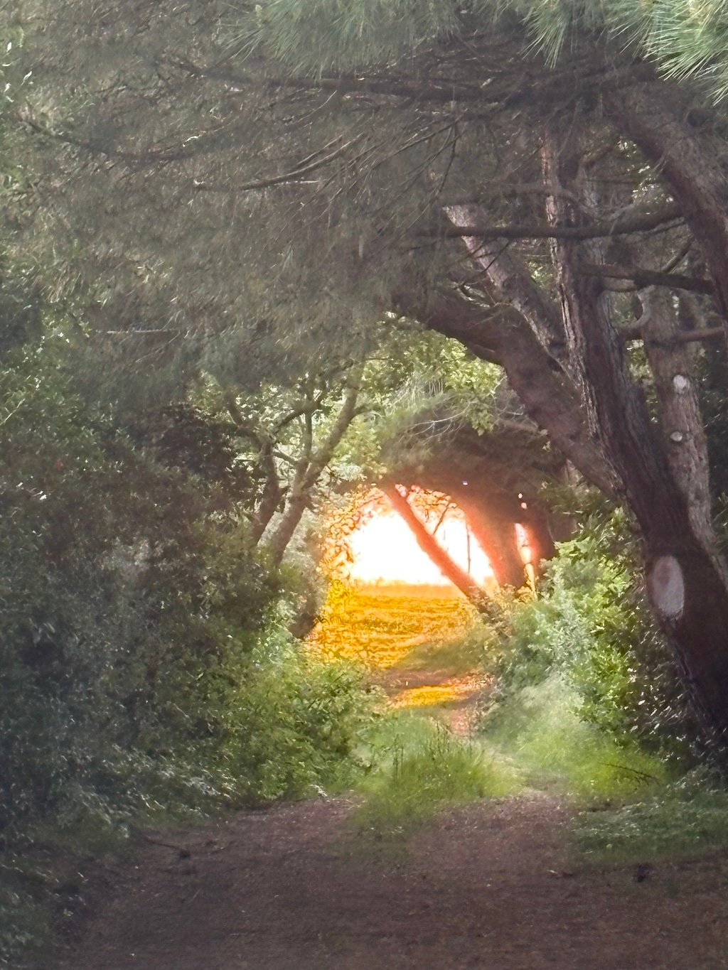 coucher de soleil